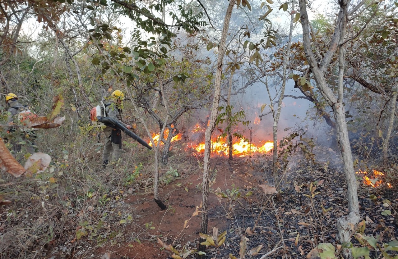 Publicado decreto que garante ação rápida contra incêndios florestais