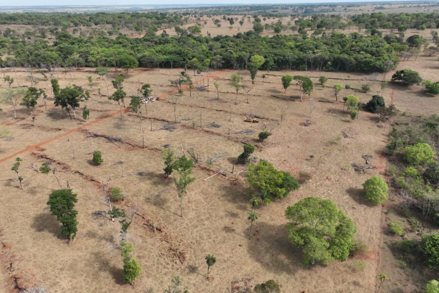 Operação Mata Atlântica flagra 100 hectares de desmatamento ilegal