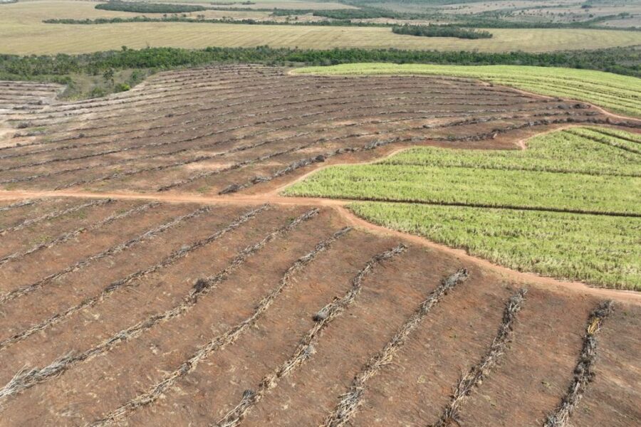 Operação contra desmatamento em Mineiros aplica R$ 1,7 milhão em multas