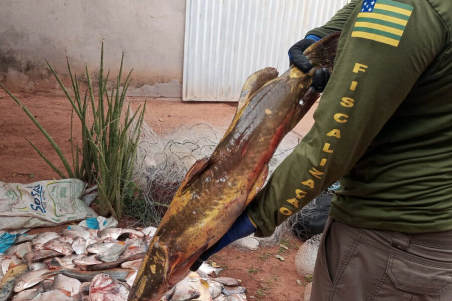 Operação prende suspeitos de pesca predatória, fraude fiscal e lavagem de dinheiro