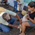 Saúde convoca população para vacinar cães e gatos contra raiva animal