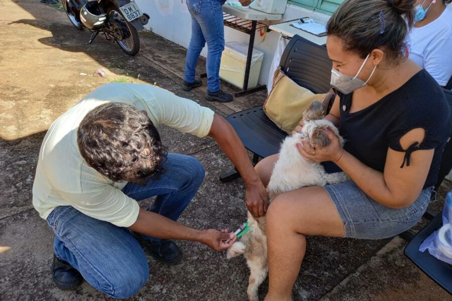Saúde convoca população para vacinar cães e gatos contra raiva animal
