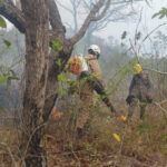 Operação Cerrado Vivo combate incêndio na APA do Encantado