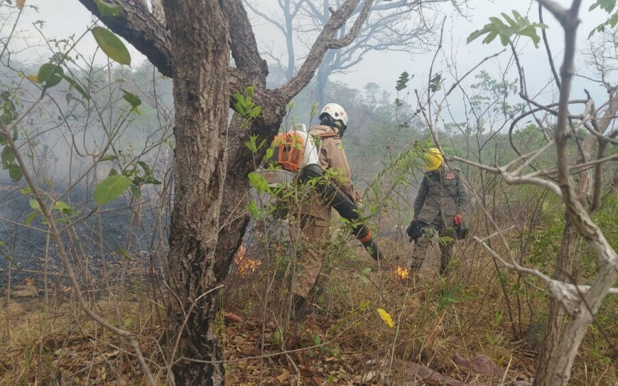 Operação Cerrado Vivo combate incêndio na APA do Encantado