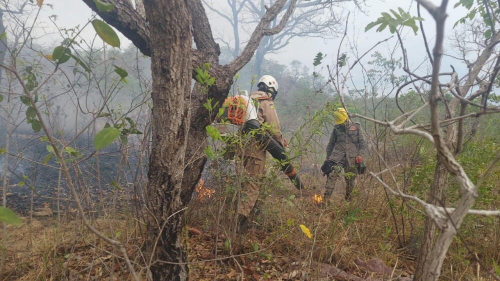 Operação Cerrado Vivo combate incêndio na APA do Encantado