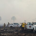 Incêndio consumiu 5,5 mil hectares no Parque de Terra Ronca