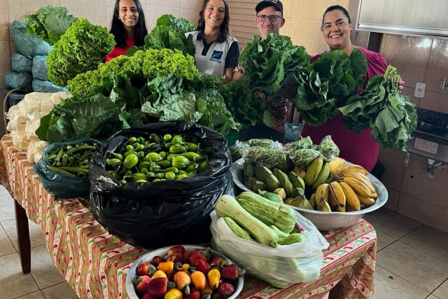 PAA Goiás beneficia produtores e famílias vulneráveis em 116 municípios