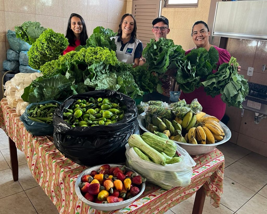 PAA Goiás beneficia produtores e famílias vulneráveis em 116 municípios