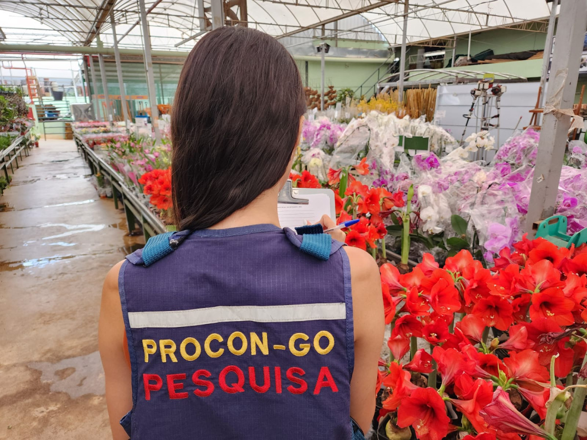 Dia de Finados: pesquisa do Procon aponta variação de até 585% em preço de flores