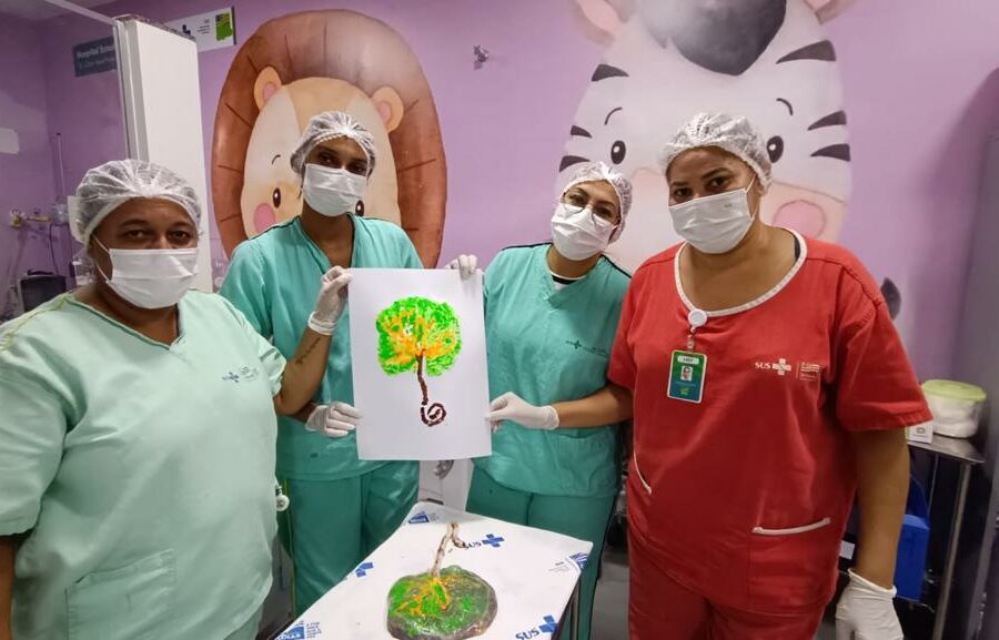 Hospital Estadual de Formosa celebra mil partos humanizados