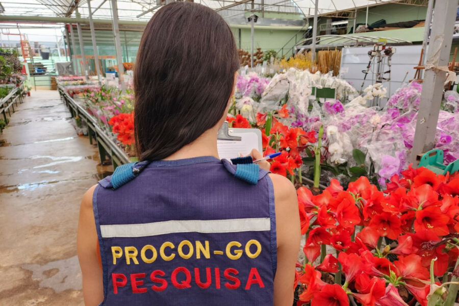 Pesquisa aponta diferença de até 585% nos preços das flores