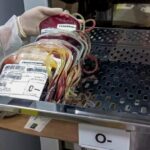 Hemocentro coleta sangue para prematuros e gestantes 