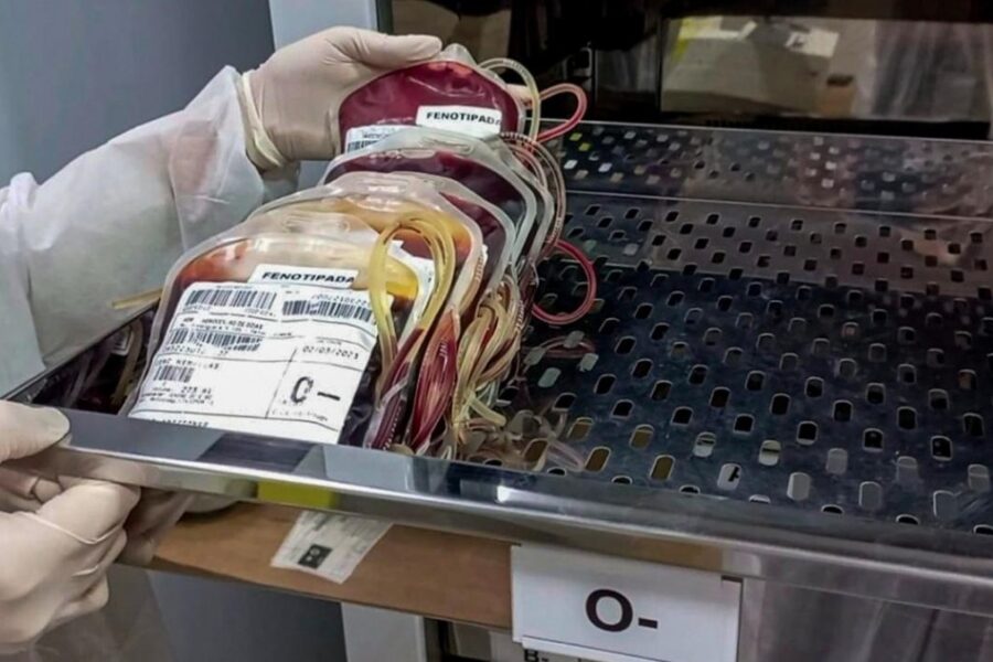 Hemocentro coleta sangue para prematuros e gestantes 