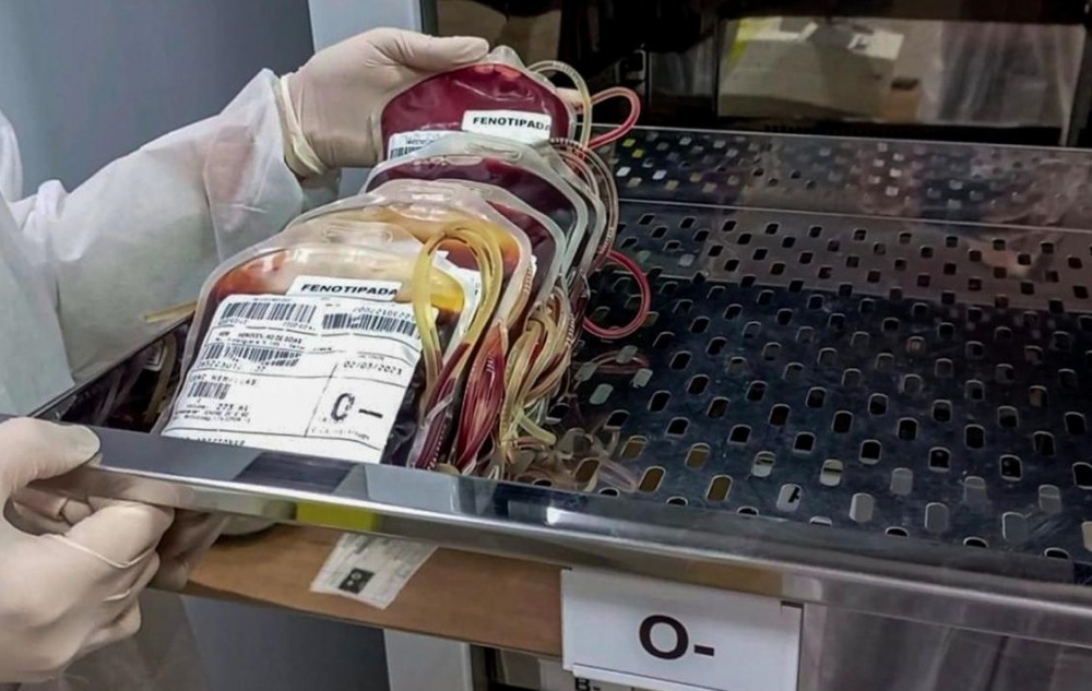 Hemocentro coleta sangue para prematuros e gestantes 