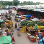 Feriado de Finados altera funcionamento das unidades do Governo de Goiás