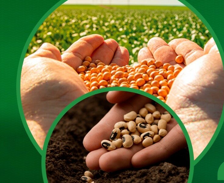 Emater realiza 1ª Feira de Troca de Sementes e Mudas da Agricultura Familiar de Goiás