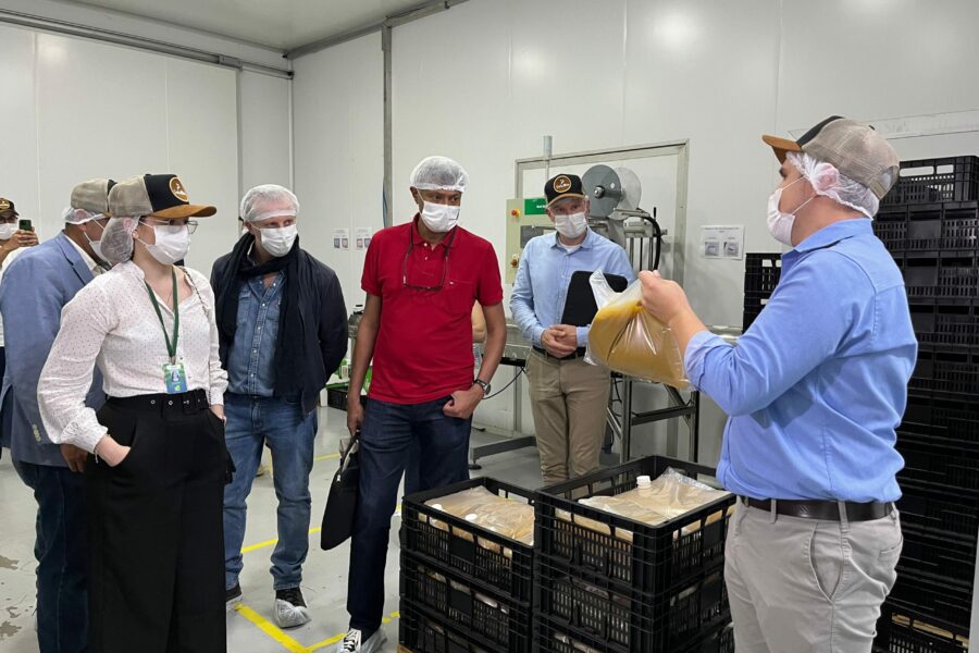 Representantes de nove países conhecem produção sustentável de grãos em Goiás