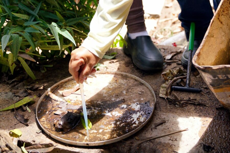 Saúde reforça ações de combate à dengue contra ameaça de epidemia em 2024