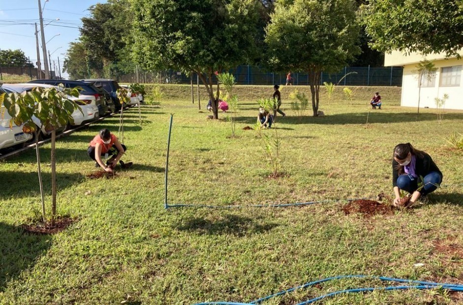 Virada Ambiental planta mais de 1,1 milhão de mudas