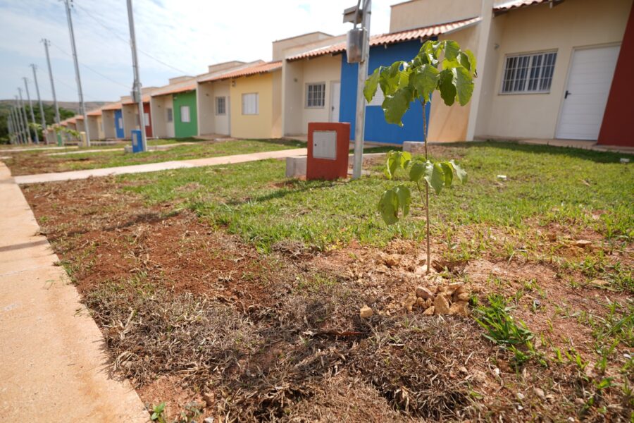 Habitação entrega 717 casas a custo zero em 2023