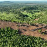 Semad flagra desmatamento ilegal de 190 hectares em Mara Rosa