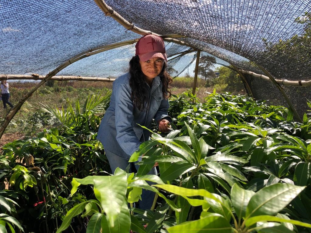 Governo seleciona produtores para Projeto de Fruticultura Irrigada do Vão do Paranã