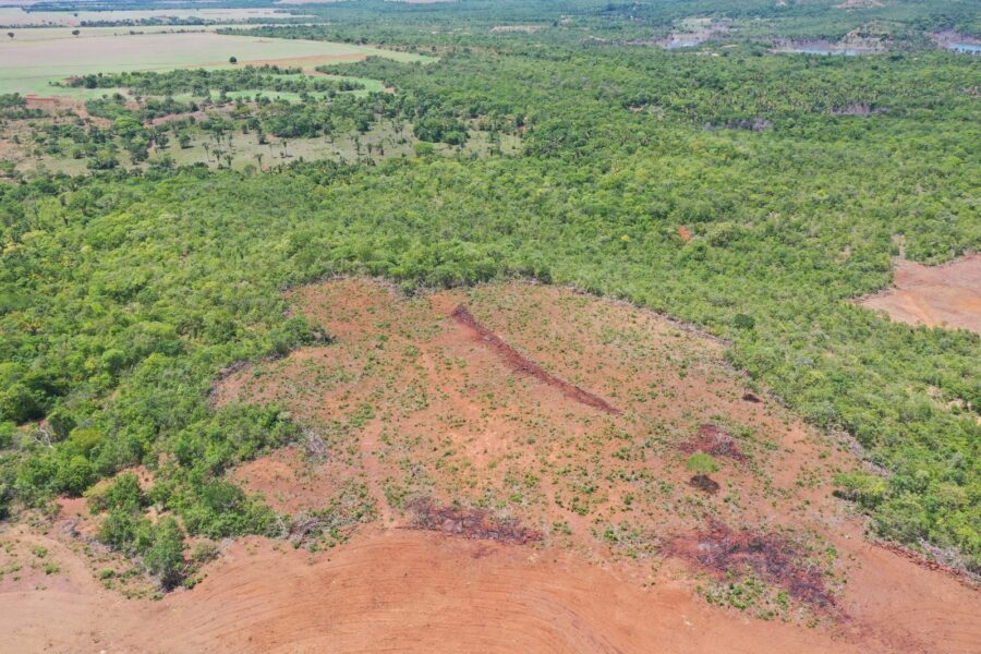 Semad flagra desmatamento no Centro-Oeste e Norte goianos