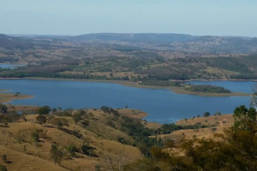 Mata Atlântica teve desmatamento zero em Goiás neste ano, diz balanço nacional