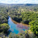 Lote 5 do Juntos pelo Araguaia vai recuperar 50 hectares de áreas degradadas