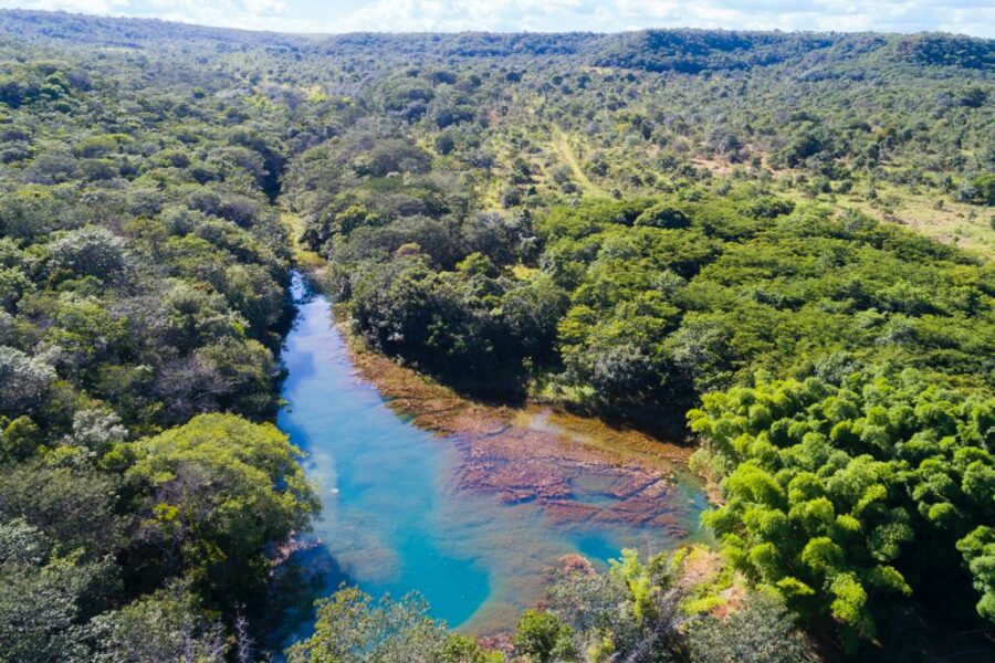 Lote 5 do Juntos pelo Araguaia vai recuperar 50 hectares de áreas degradadas