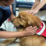 Pacientes do Crer recebem visita de cães terapeutas nesta sexta