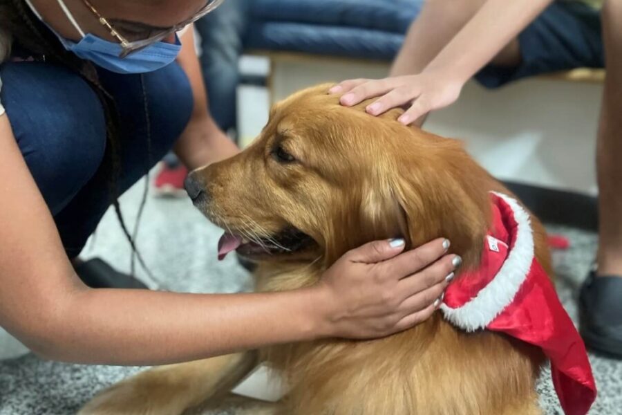 Pacientes do Crer recebem visita de cães terapeutas nesta sexta