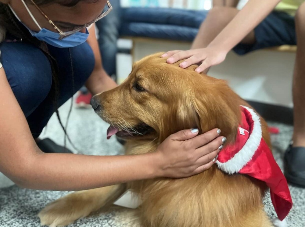 Pacientes do Crer recebem visita de cães terapeutas nesta sexta