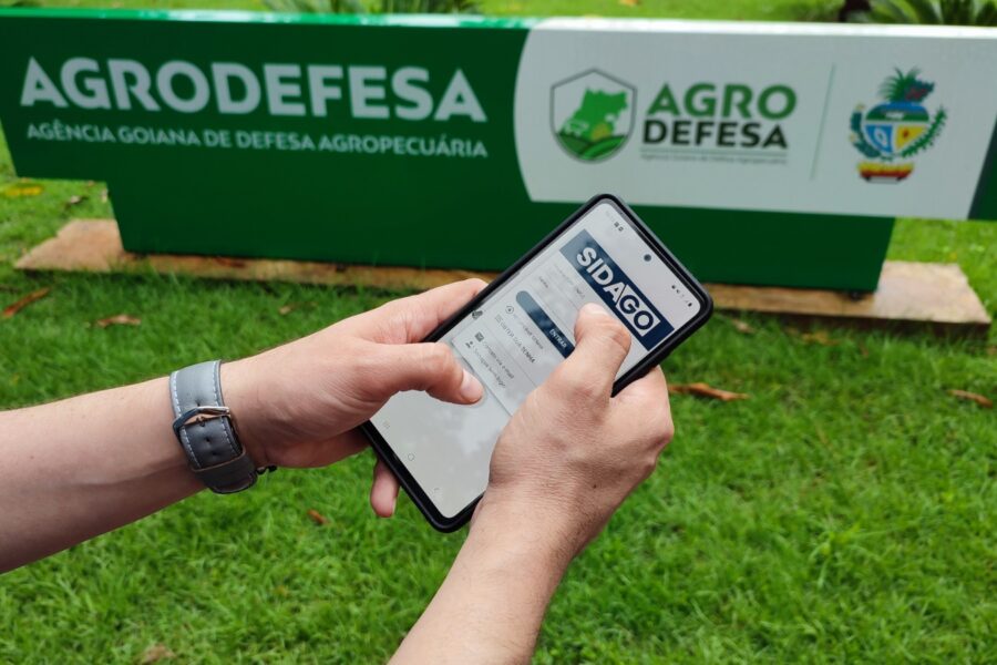 Cadastro de lavouras de soja deve ser feito até dia 27