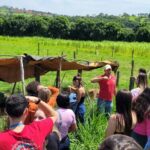 Grupo de trabalho vai fomentar a educação sanitária