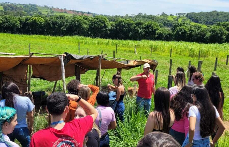 Grupo de trabalho vai fomentar a educação sanitária