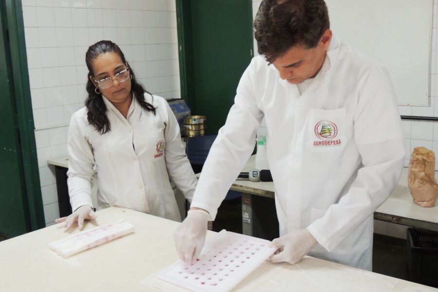 Laboratório da Agrodefesa alcança nota máxima em teste nacional