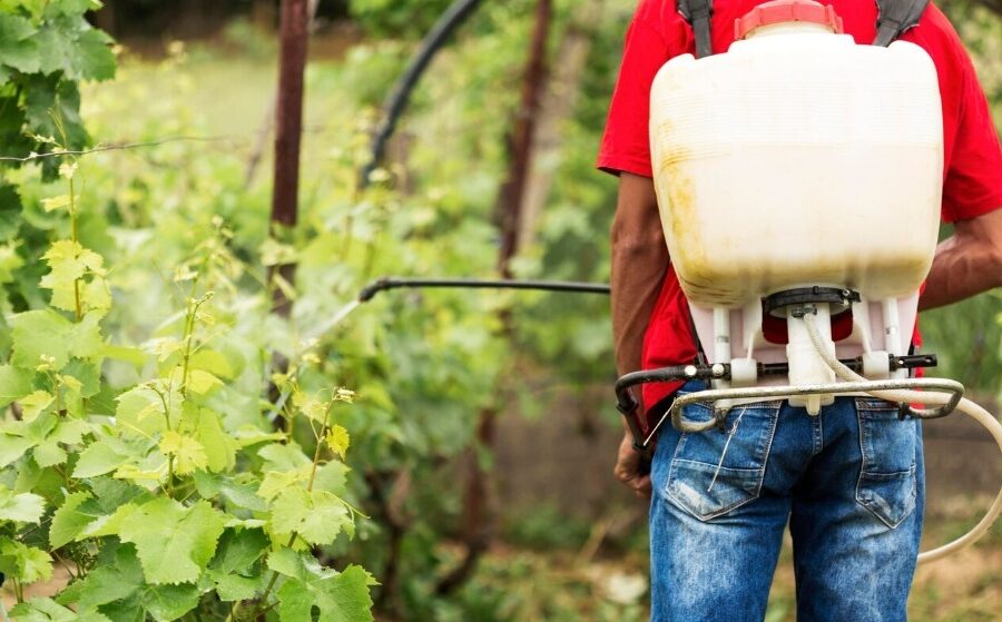 Governo promove ações para minimizar riscos de exposição a agrotóxicos