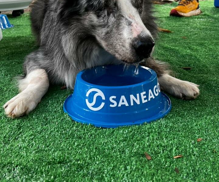 Saneago distribui água fresca na Praça Cívica, no domingo de Carnaval