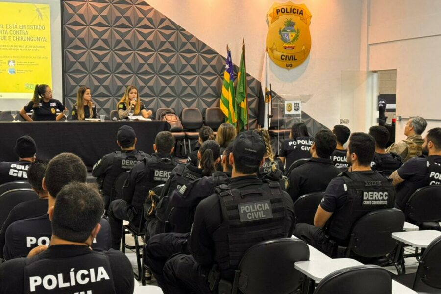 Polícia prende investigados por pornografia infantil na web