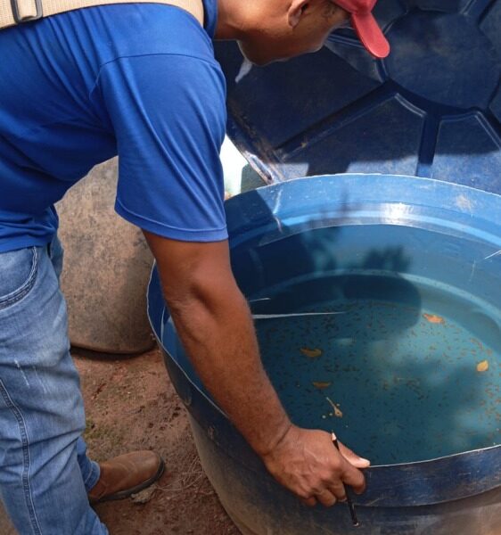 Municípios goianos se mobilizam em ações de combate à dengue