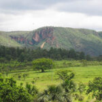 Parque da Serra de Caldas Novas abre exposição sobre plantas do Cerrado