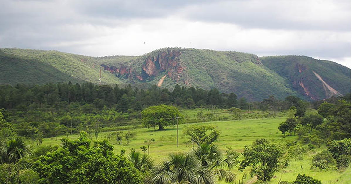 Parque da Serra de Caldas Novas abre exposição sobre plantas do Cerrado