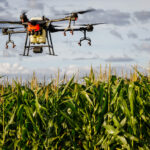 Agrodefesa alerta: drones pulverizadores de agrotóxicos precisam ter registro na Agência