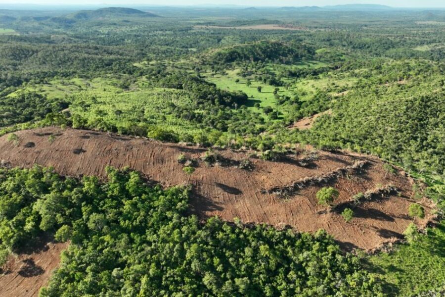 Goiás lança plataforma de fiscalização ambiental nesta quinta