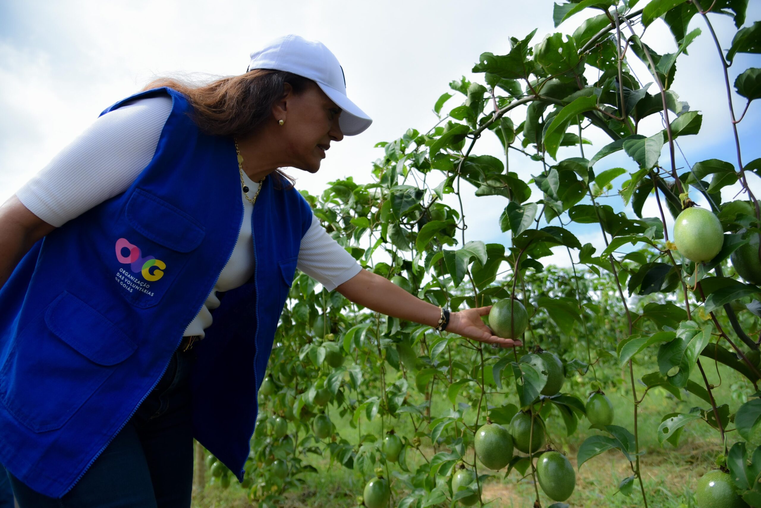 Gracinha Caiado anuncia ampliação da fruticultura irrigada