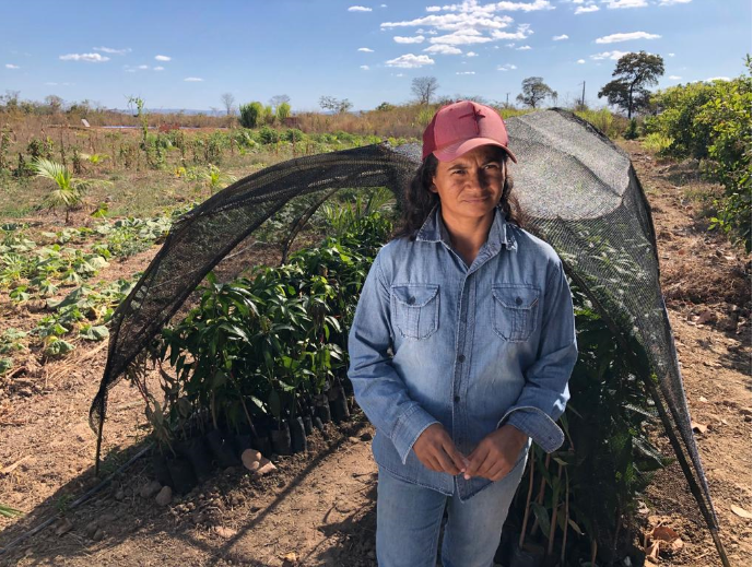 No campo, mulheres são maioria dos beneficiados por programas e ações do Governo de Goiás