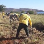 Prazo para solicitar queima controlada em Goiás vai até 30 de junho