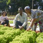 Emater realiza Semana do Cadastro Nacional da Agricultura Familiar