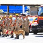 Bombeiros de Goiás partem em missão de ajuda humanitária